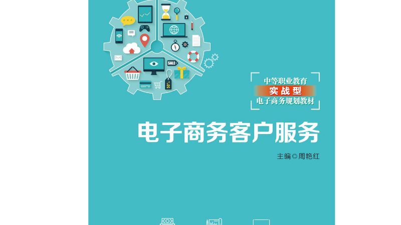 广州拼多多代运营公司排名背后的逻辑与考量