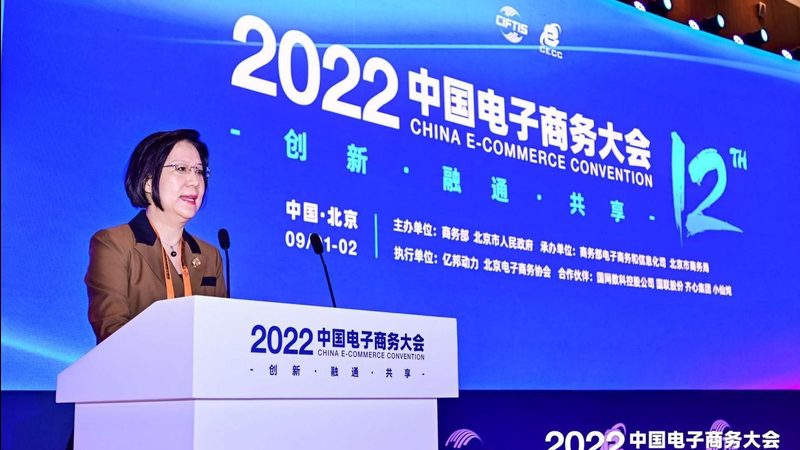独立站SEO优化：揭秘搭建方案背后的关键要素