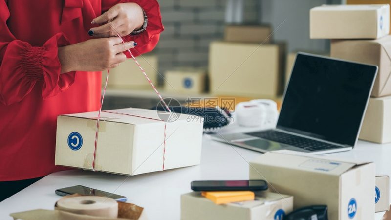 Shopify Plus建站费用：揭秘电商平台的“豪华版”投资