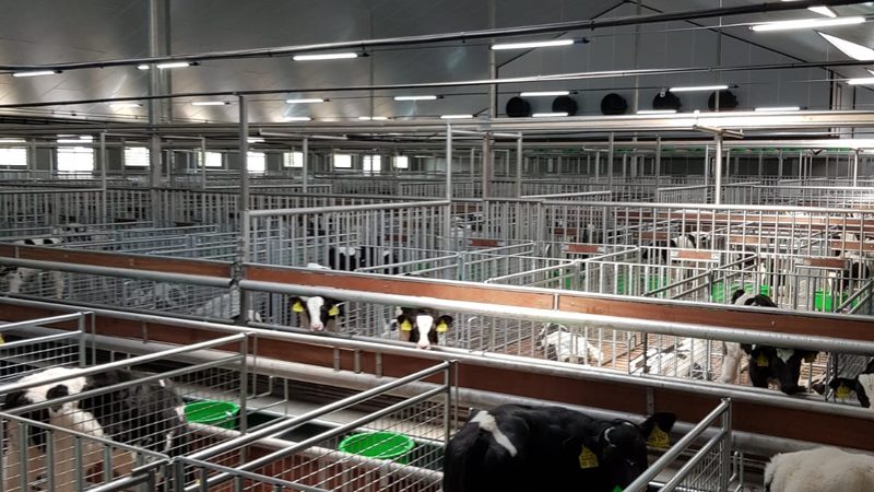 网店装修设计加盟代理品牌：揭秘电商视觉营销的秘密武器**